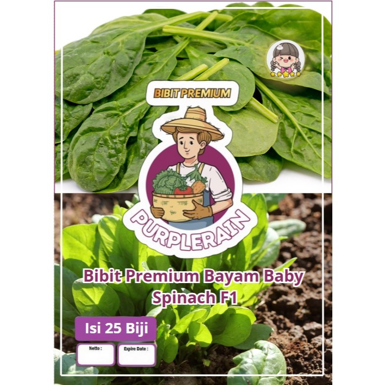 Bibit Premium Bayam Baby Spinach F1 | Benih Bayam Brazil
