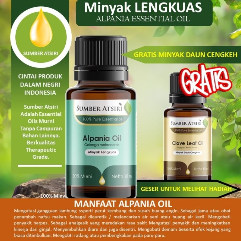 SUMBER ATSIRI Minyak Lengkuas Malaka (Alpinia Malaccenesis) Essential Oil, Pure, Nature, Murni