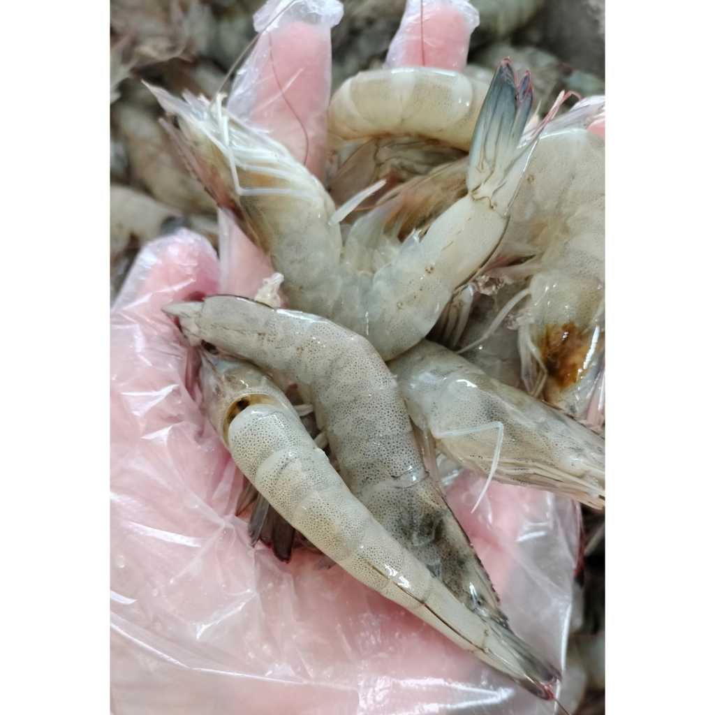 

UDANG FRESH FROZEN 500 GR UDAN VANAME