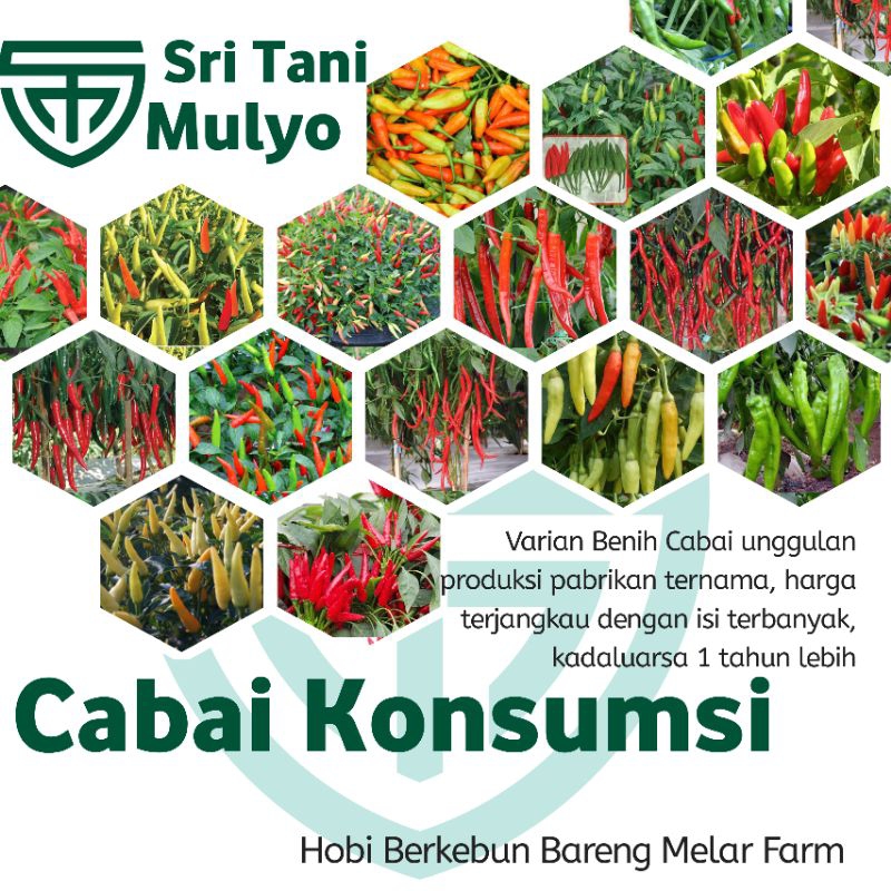 STM Bibit Cabe Konsumsi Benih Sayuran Cabai Rawit Merah Setan Sayur Unggul Cabe Setan ORI 212 Besar 