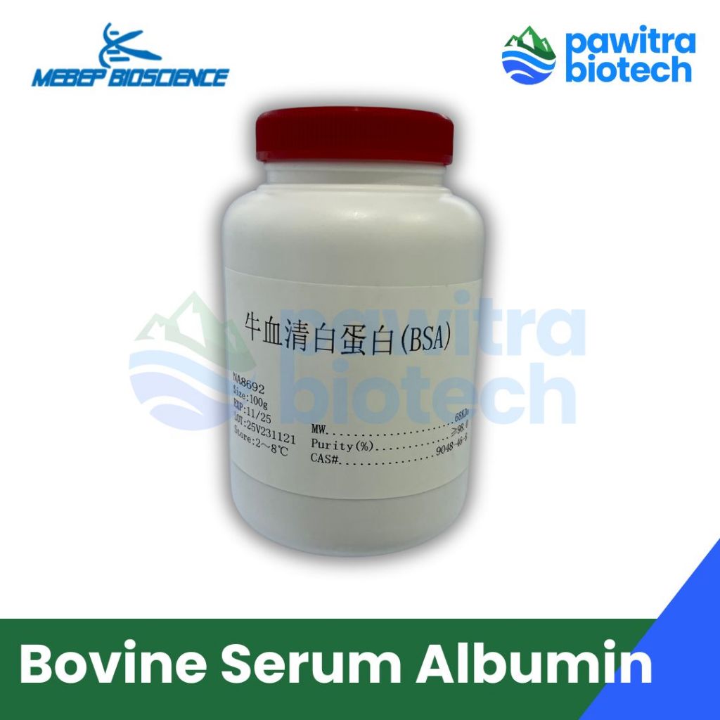 Bovine Serum Albumin BSA Media Mikrobiologi Ecer