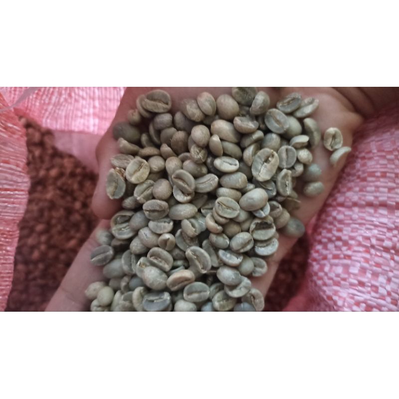 

arabika natural (penanjakan bromo)