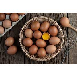 

TELUR AYAM OMEGA PER KILOGRAM