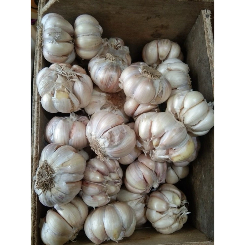 

bawang putih 500gr segar grade A