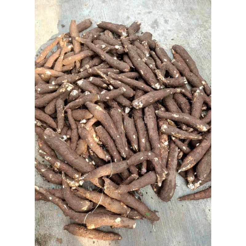 

singkong/umbi fres asli pegunungan 1kg