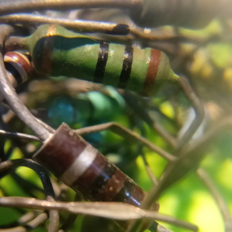 resistor 10 ohm campur