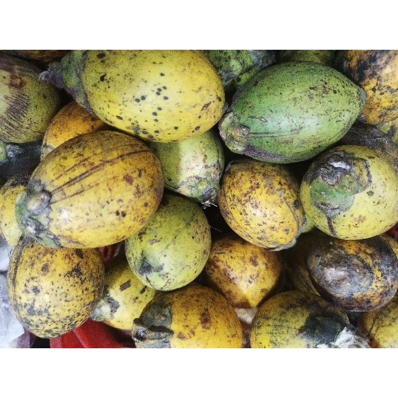 

Buah Pinang Wangi Segar 1buah