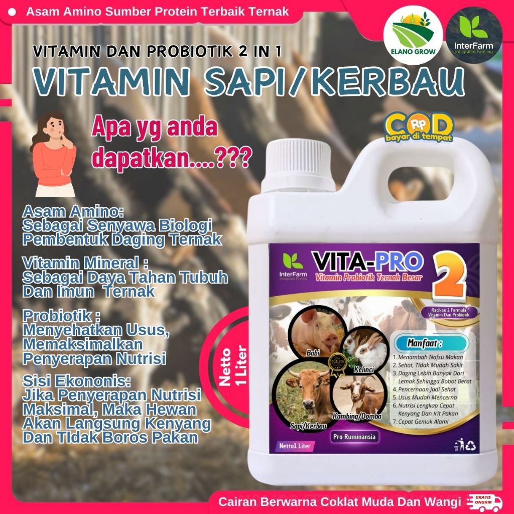 Obat penggemuk sapi, Vitamin penggemuk sapi paling cepat,Jamu sapi penggemuk sapi ELANOGROW 1 liter