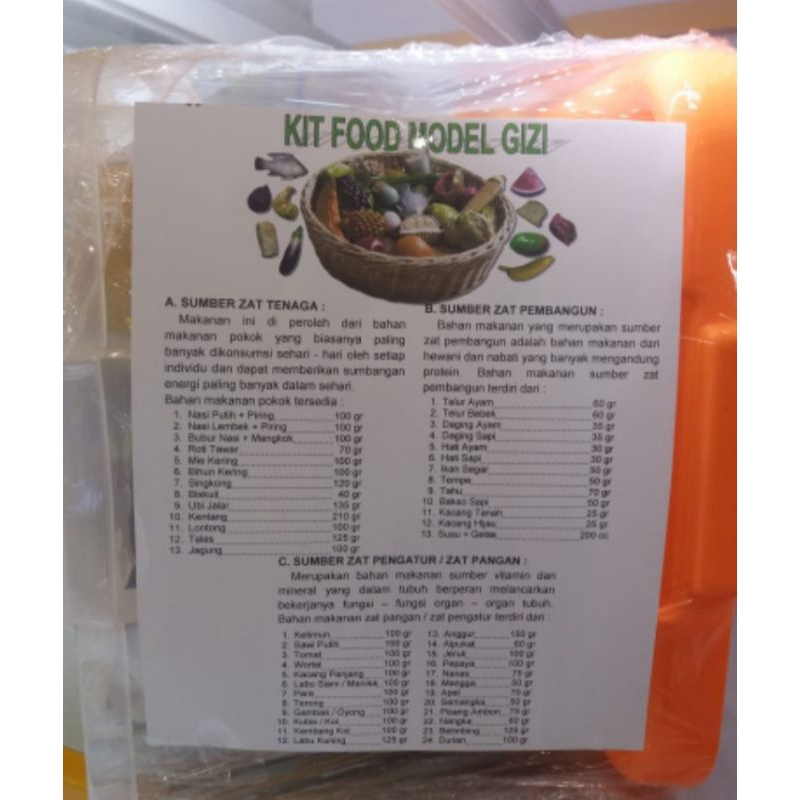 Model Food Gizi/ Kit Food Model Gizi / Alat Peraga Pendidikan