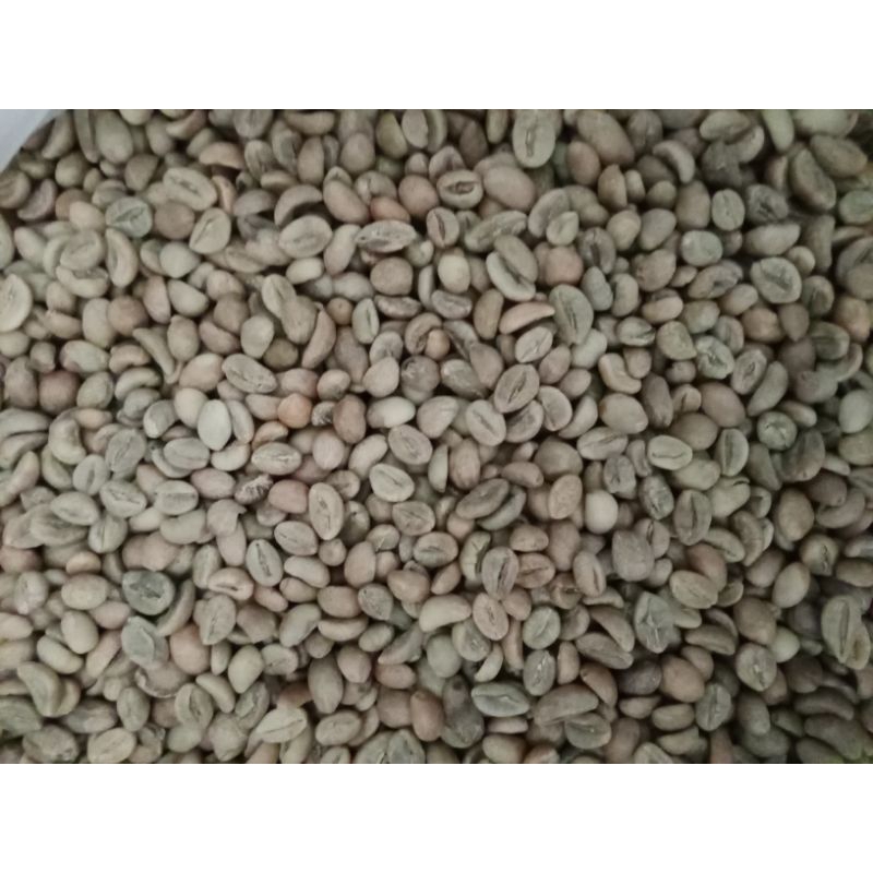 

greenbreanrobusta