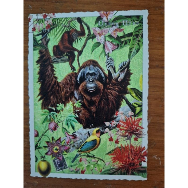

kartu pos tausenschon glitter monyet/monkey glitter postcard