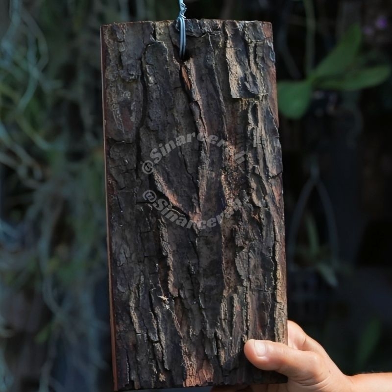 Media tanam anggrek/Papan Media Tanam kulit kayu mahoni+ kawat cantolan