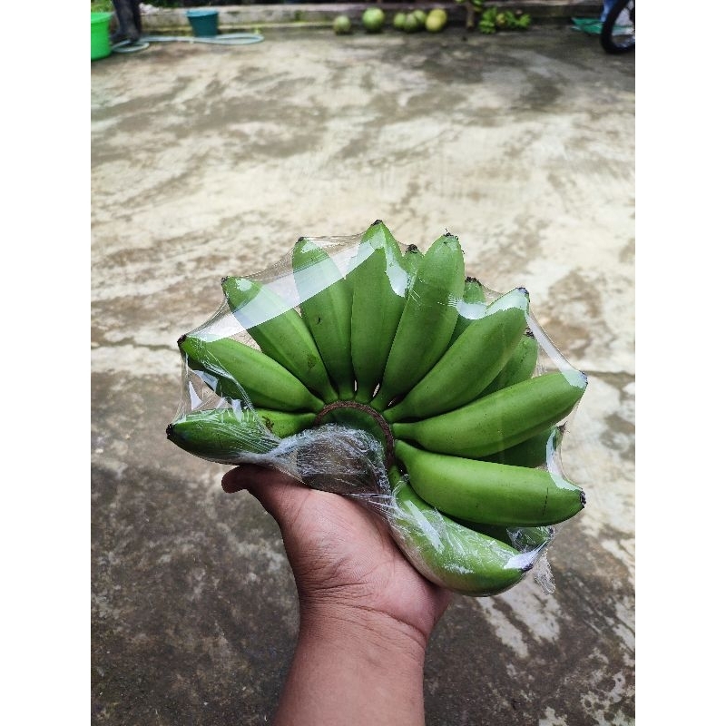 

Pisang Carmilin/Putri besar-besar 1 sisir Murah