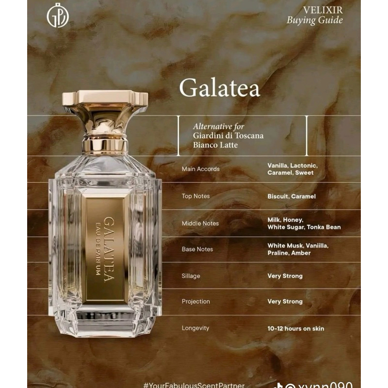 velixir galatea