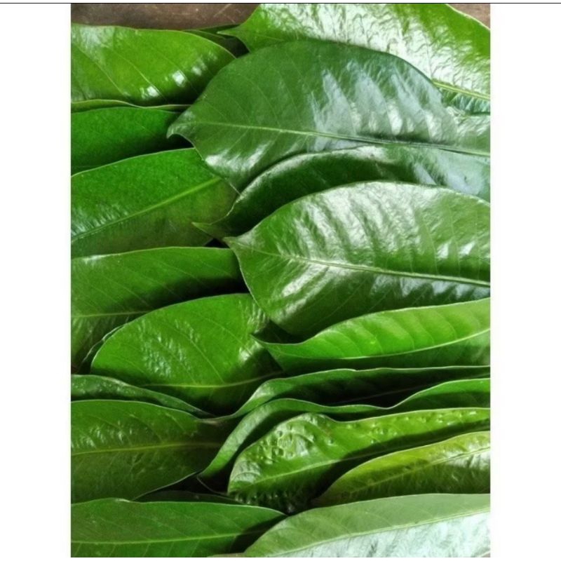 

Daun pala segar 250 gram