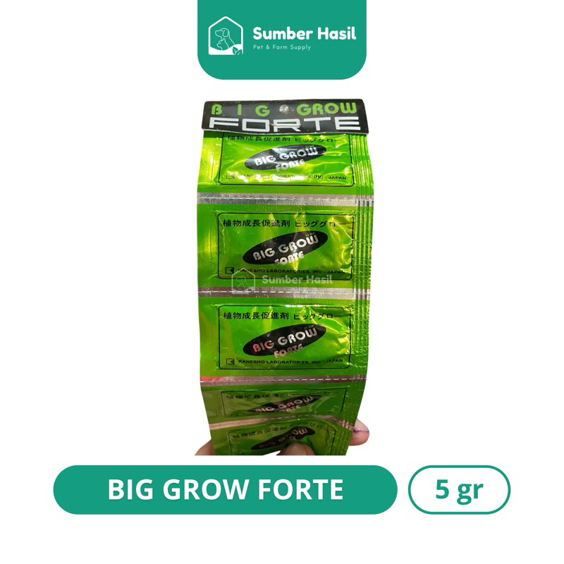 ZPT BIG GROW FORTE 1 GRAM BIG GROW ZAT PENGATUR TUMBUH TANAMAN VITAMIN TANAMAN ORIGINAL