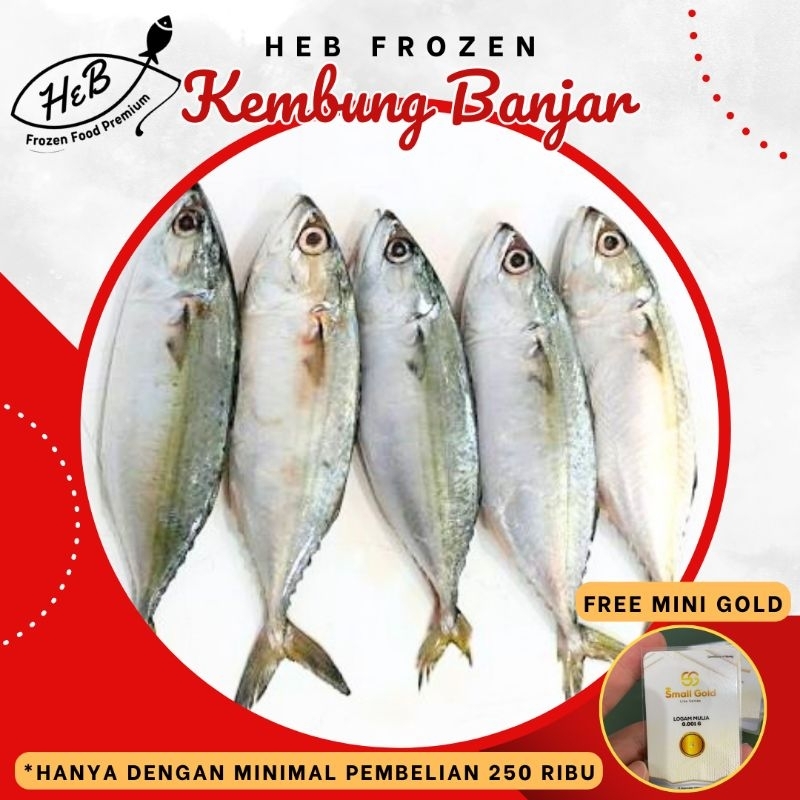 

Ikan Kembung Banjar Fresh Frozen Beku @500GR