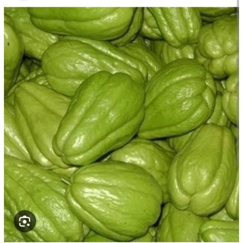

labu siam manis per 7 buah super