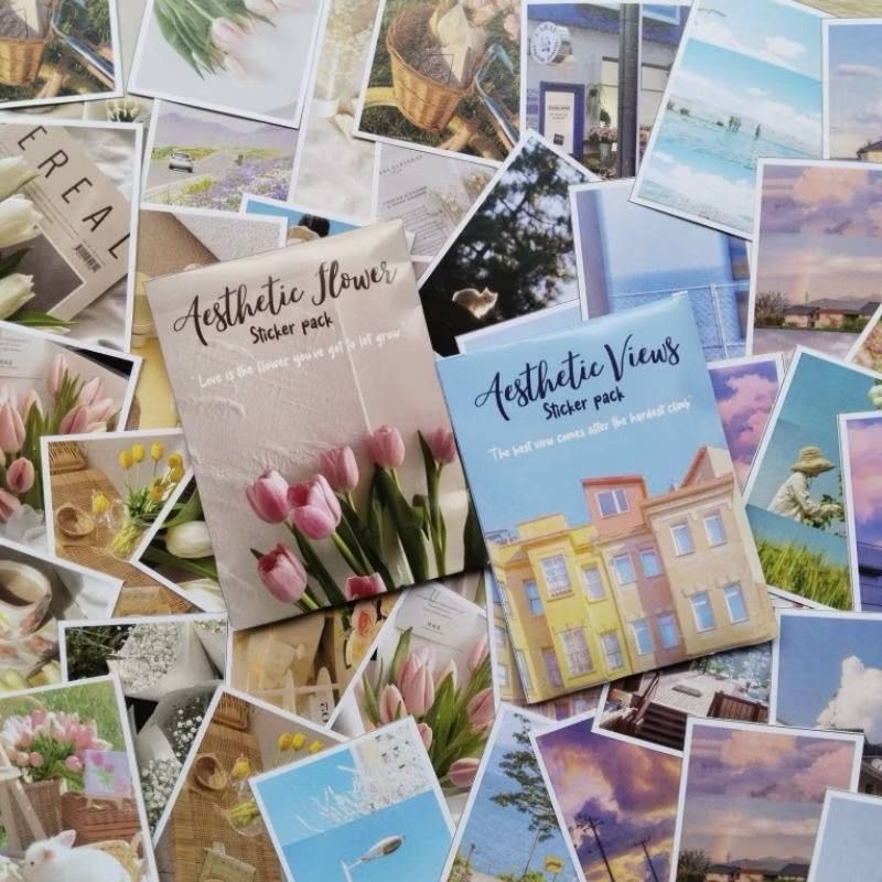 25pcs Aesthetic Sticker Pack / Aesthetic sticker / Flower Aesthetic sticker / Views Aesthetic Sticke