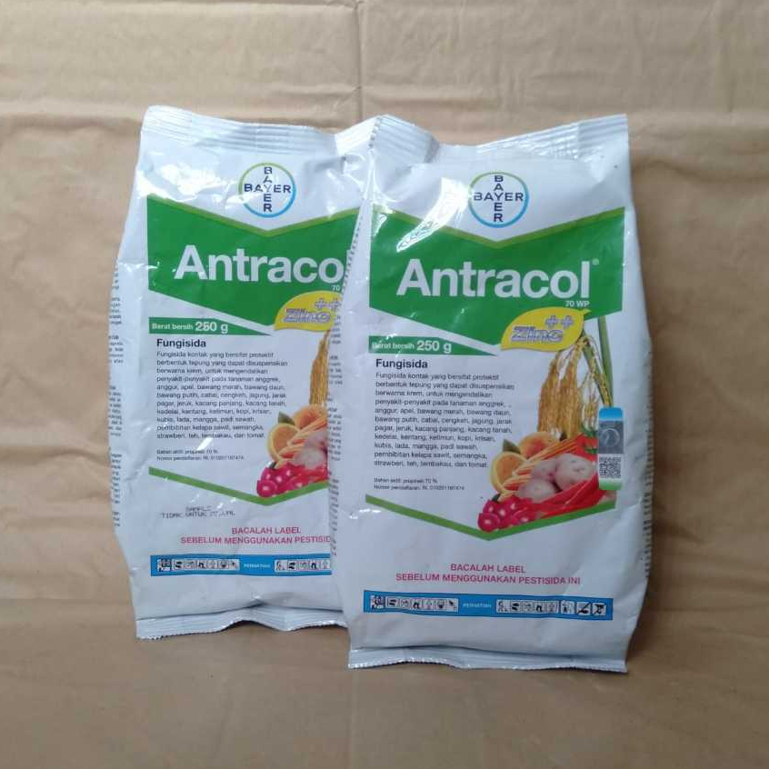 Fungisida Antracol 70 WP: Bahan aktif Propineb dan Zinc