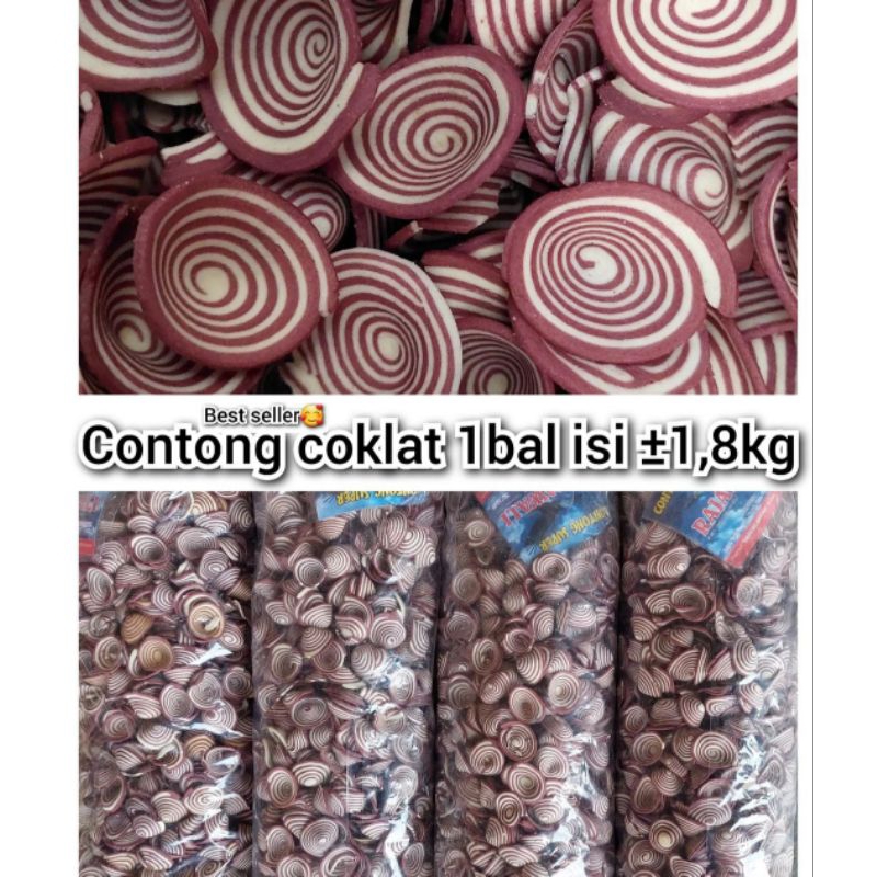 

KUPING GAJAH MINI ECER