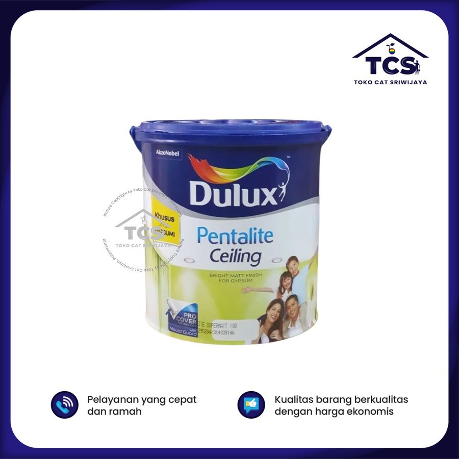 Cat Dulux Pentalite 5kg Ceiling