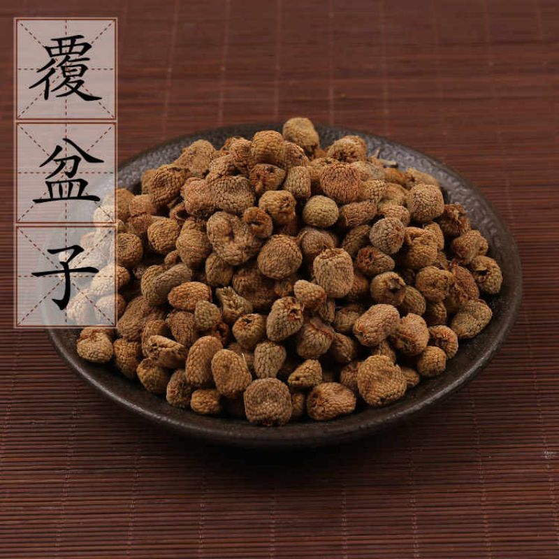 

Fu Pen Zi/Rubus Idaeus