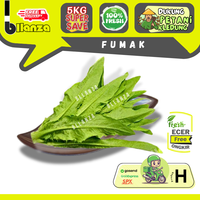 

Bllanza | Fumak — Sahabat Makan Sayur ECER (H)