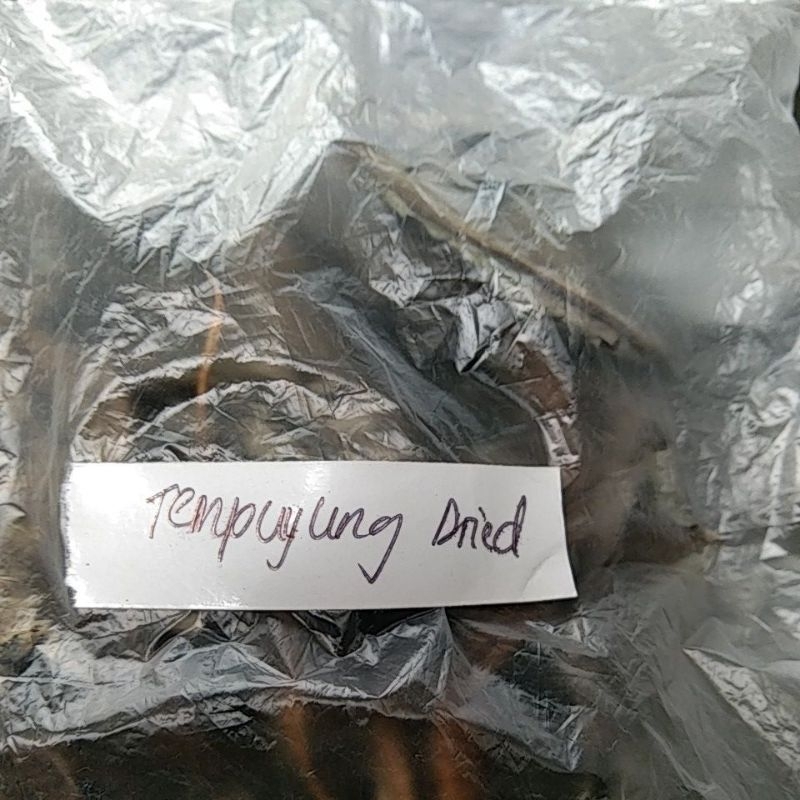 

Tempuyung kering Daun Tempuyung Dried