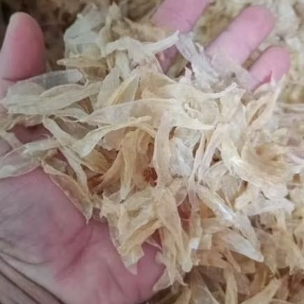 He Pio/Gelembung/Lampung/Perut ikan GULAMA 200-1000gram