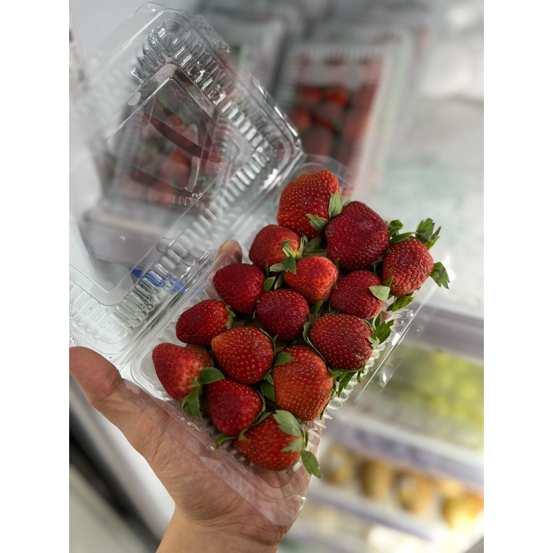 

STROBERI BRASTAGI BUAH STRAWBERRY | Buah Berry Local Fresh