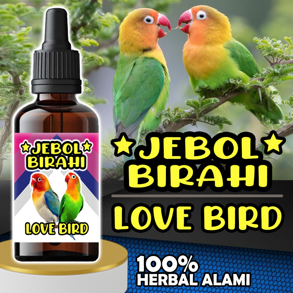 [COD] Obat Birahi Burung "JEBOL BIRAHI" Vitamin Burung Lovebird penggacor burung seketika - 10ml