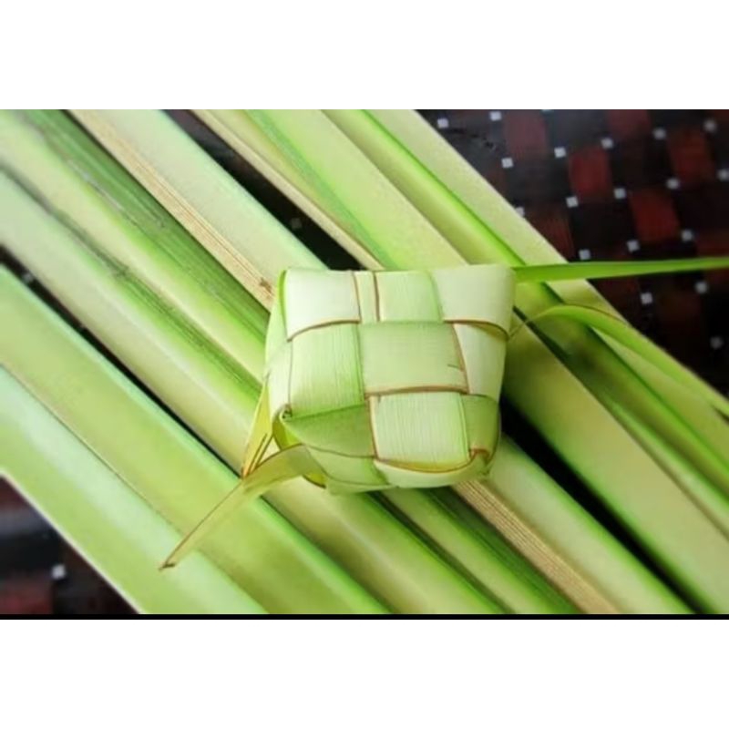 

daun kelapa muda /janur untuk ketupat lebaran 15 lembar