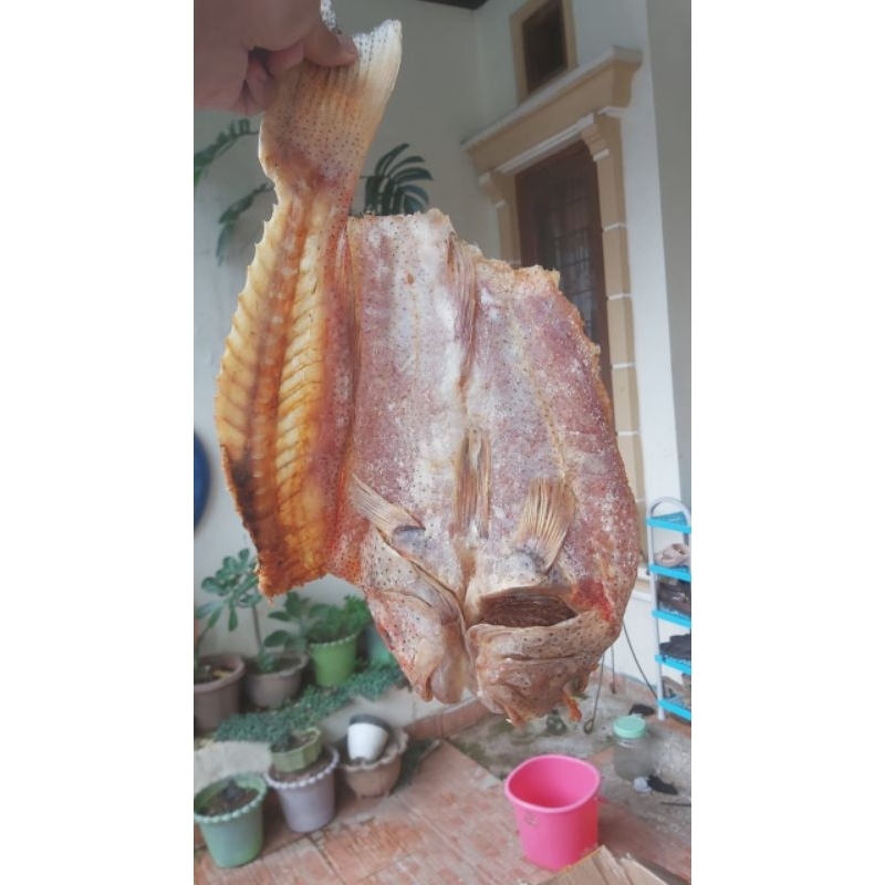 

Ikan Asin Sunu 500gr