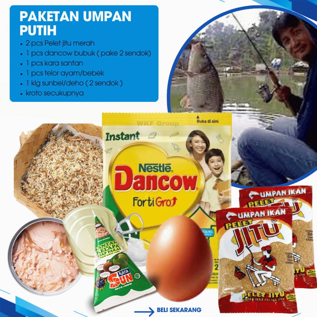 Paket umpan putih ikan mas di jamin gacor-umpan ikan mas