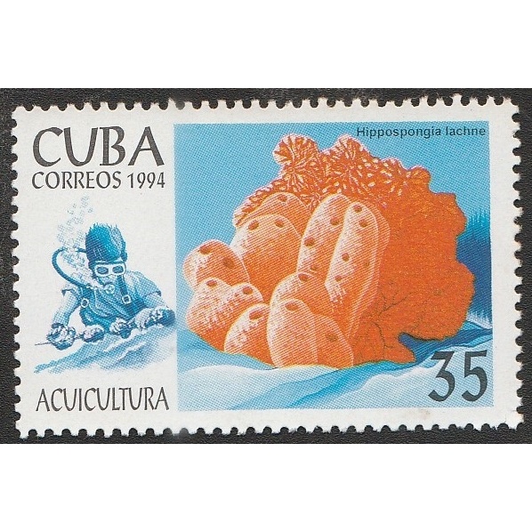 

A 11215 SATU BUAH PRANGKO CUBA TEMA ACUITULTURA - HIPPOSPONGIA LACHNE DENGAN KONDISI BELUM ADA CAP