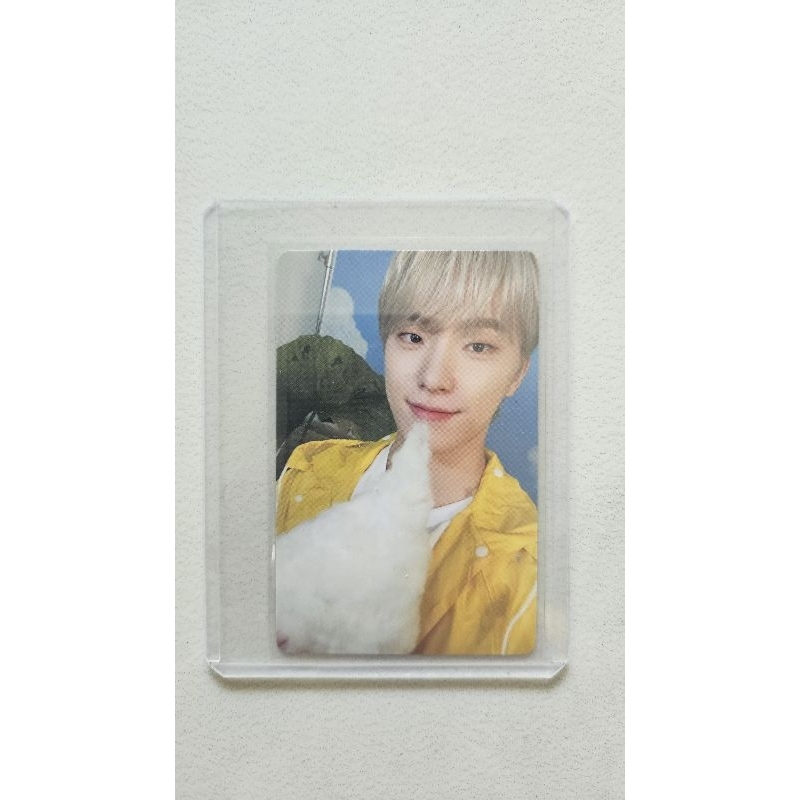PC Photocard Dino Seventeen Seventeenth Heaven Official