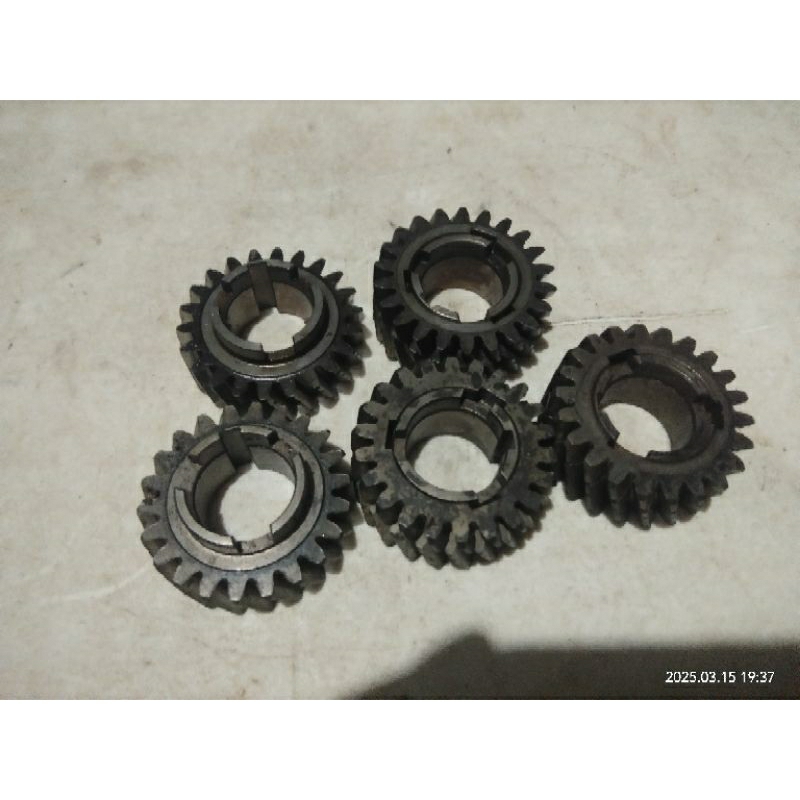 Gigi primer Arashi, Shogun SP FD&FL , Axelo.