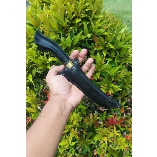 pisau dapur sisit asli dari tanduk kerbau
