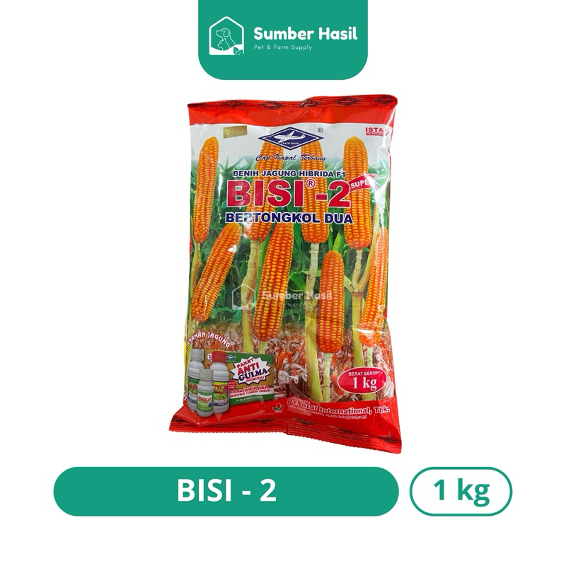 BENIH JAGUNG BISI2 1KG EXP 2026 BIBIT JAGUNG BISI 2 JAGUNG TONGKOL 2 KAPAL TERBANG ORIGINAL