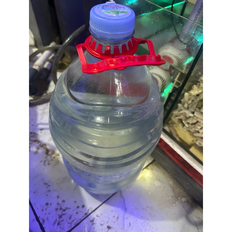 air laut asli natural saltwater NSW 1 galon 15 liter sudah termasuk galon