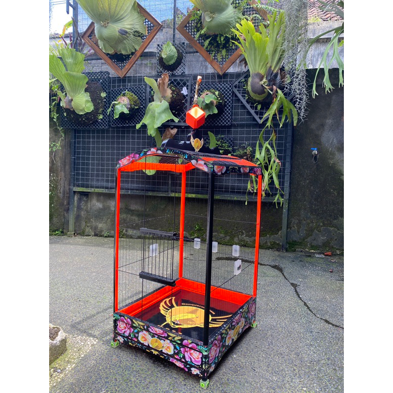 DECAL Sangkar Kenari/Sangkar Bro Ukuran 37x43
