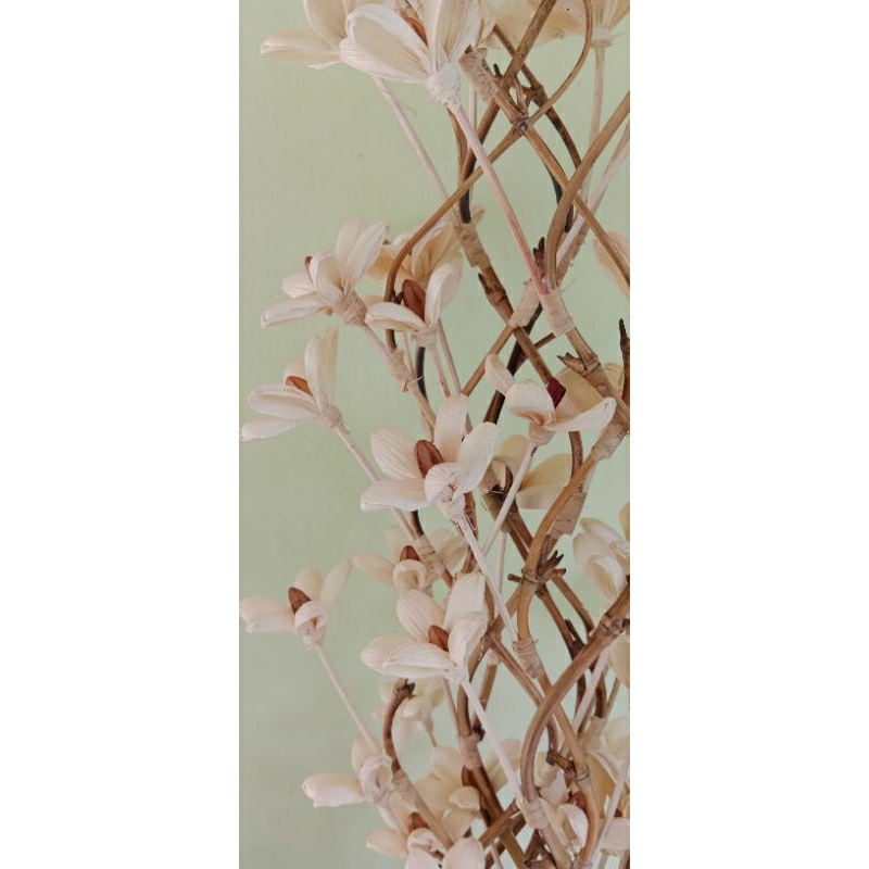 Jual Bunga Klobot Melati Murah/ Jual Dekorasi Klobot Melati Ulir Murah