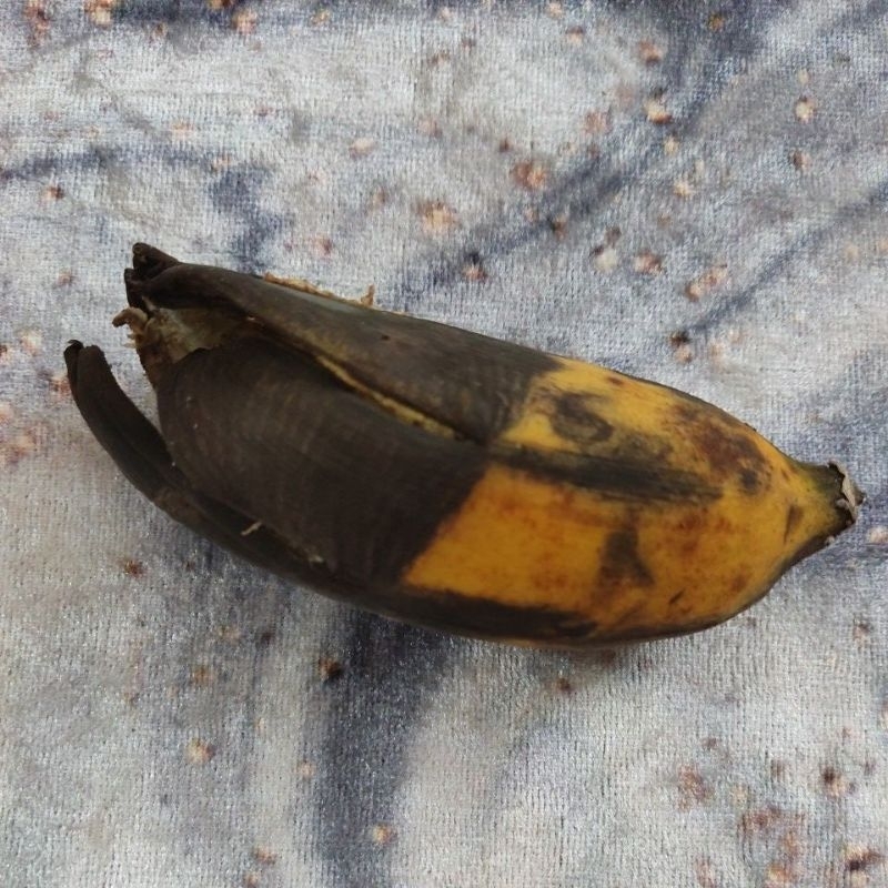 

Pisang Second