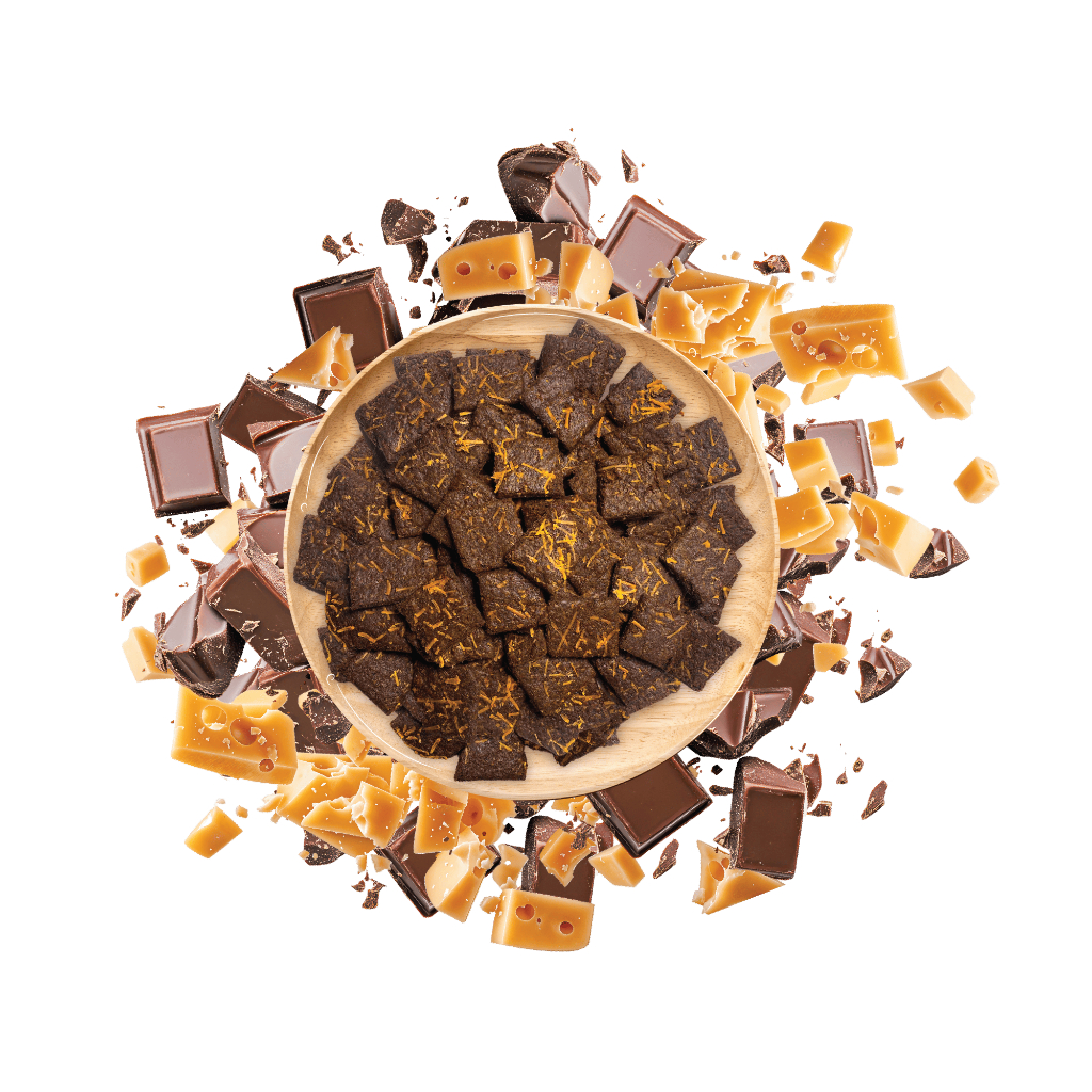 

kukis coklat bertabur keju | 600 ml