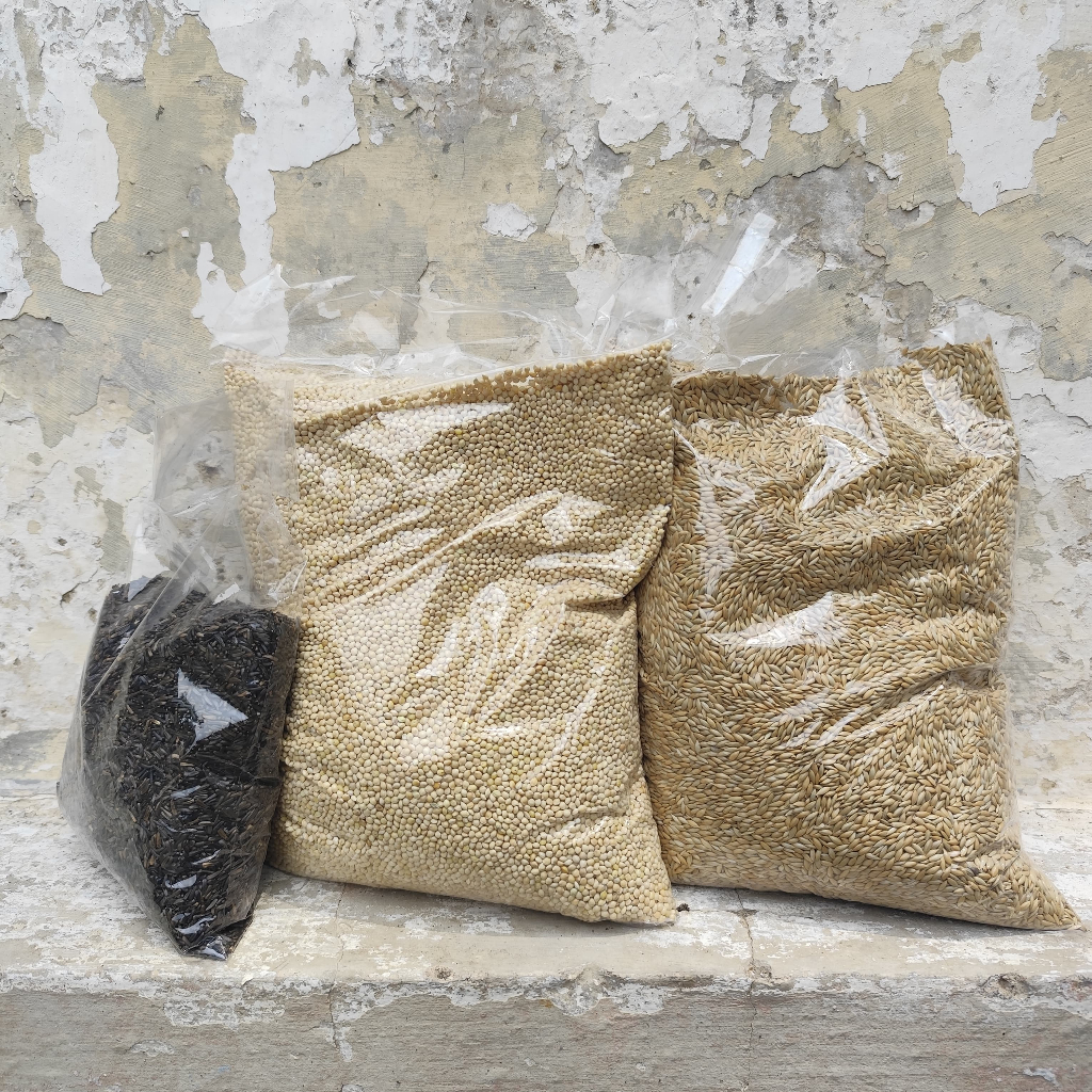 paket kenari gacor  makanan burung kenari isi niger milet putih, kenari seed campuran pakan