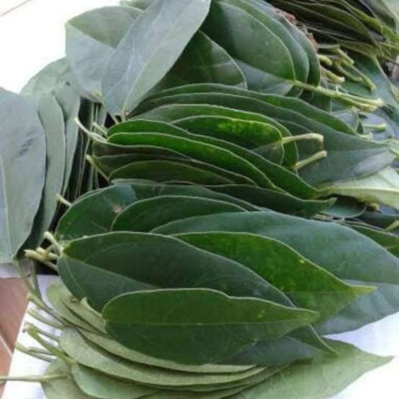 

Daun cincau hijau / harga perlembar / 1 daun