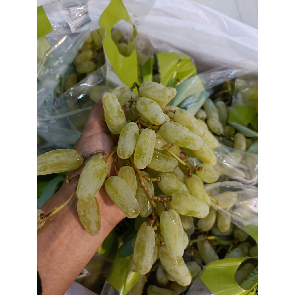 

ANGGUR HIJAU LONG THOMPSON - SUKABUAH