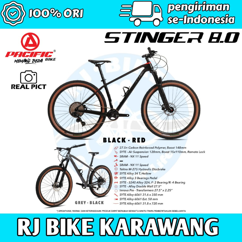 SEPEDA GUNUNG MTB PACIFIC CARBON STINGER 8.0