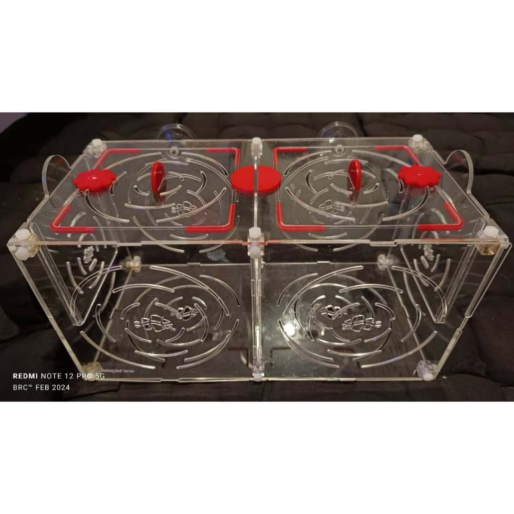 Fish Quarantine Box Aklimasi Karantina Ikan dan Udang Hias Acrylic Aquarium / BXAKLMSPB